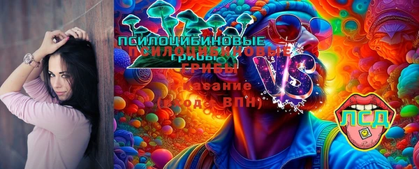 ECSTASY Володарск