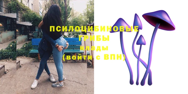 соль курить ск Вяземский