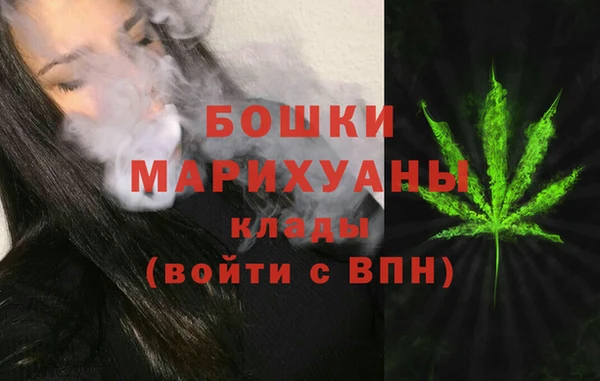 ГАЛЛЮЦИНОГЕННЫЕ ГРИБЫ Вязьма